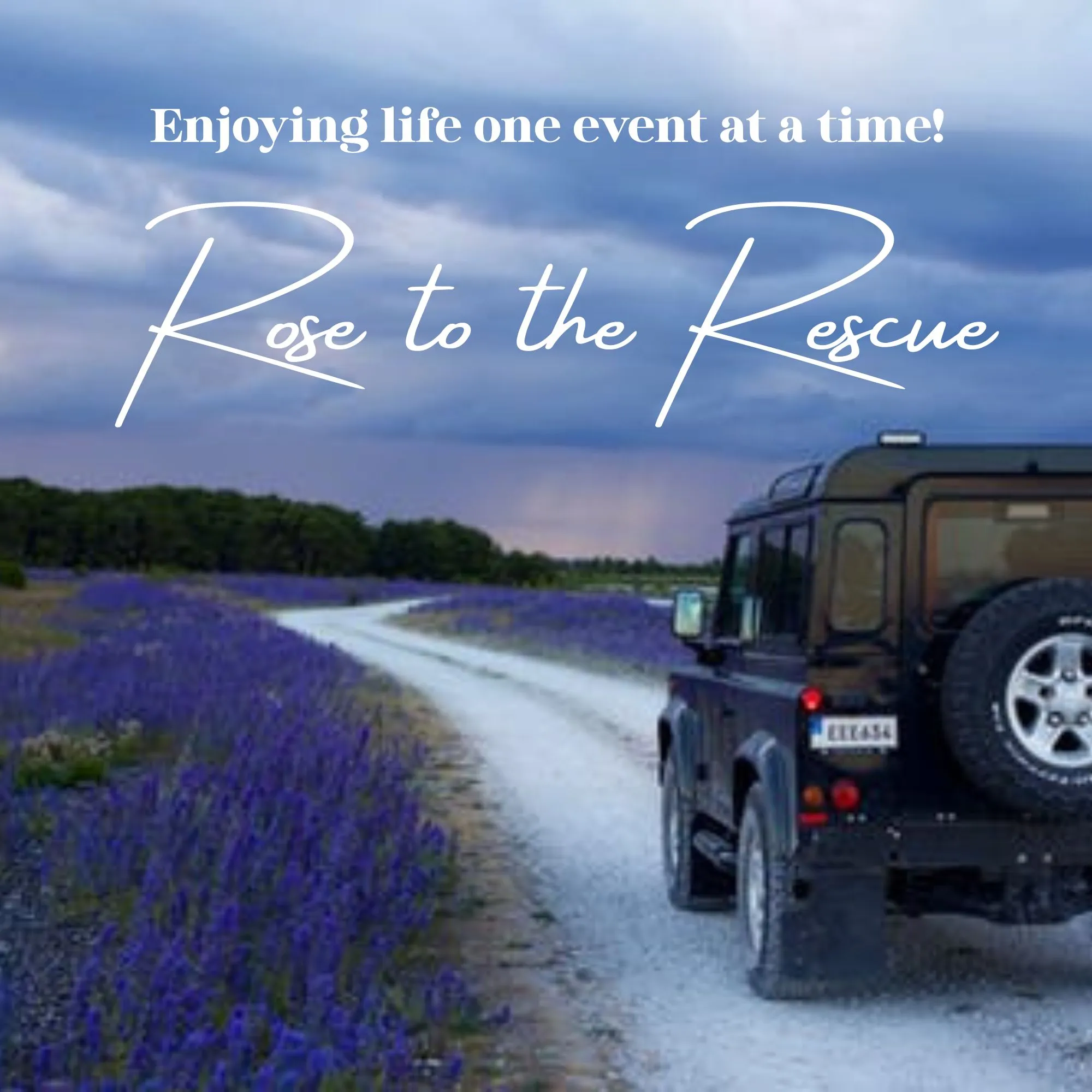 Welcome RosetotheRescue Guest