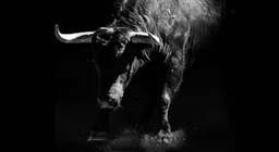 PBR - Professional Bull Riders