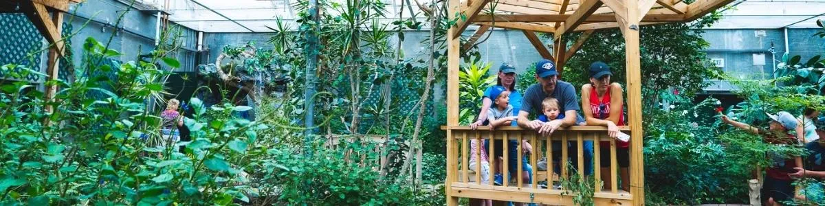Butterfly House and aquarium | Things To Do In South Dakota | Box Office Ticket Sales