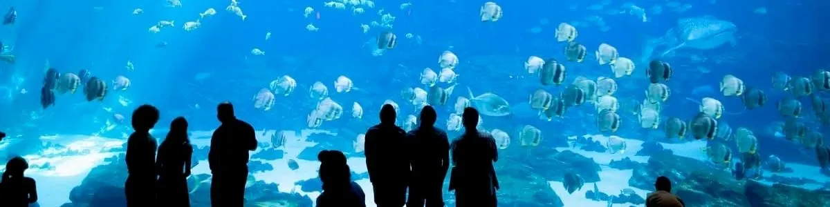National Aquarium | Things To Do In Maryland | Box Office Ticket Sales