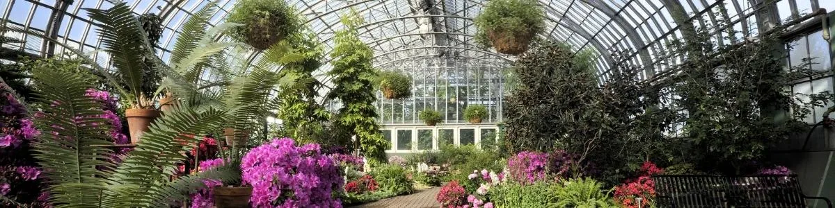 Garfield Park Conservatory | Things To Do In Illinois | Box Office Ticket Sales