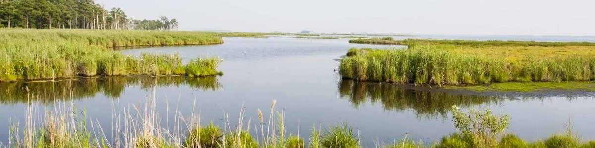 Blackwater National Wildlife Refuge | Things To Do In Maryland | Box Office Ticket Sales