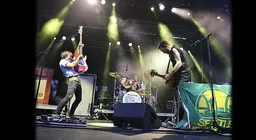 Band of Horses