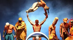 Cirque Du Soleil - O