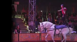 Cirque Ma'Ceo