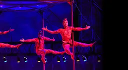 Cirque du Soleil - Mystere
