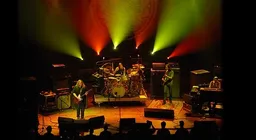 Gov't Mule
