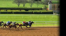 Keeneland Fall Race Meet