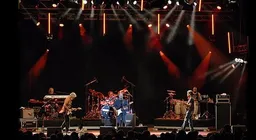 Little Feat