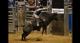 Reno Rodeo