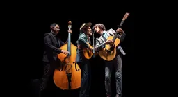 The Avett Brothers