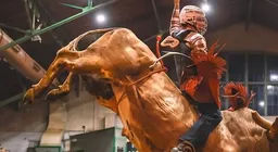 Stockyards Championship Rodeo