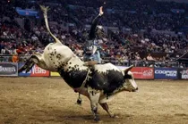 PBR - Professional Bull Riders tickets