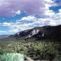 Mount Charleston Tour