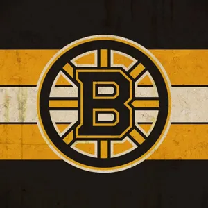 Boston Bruins