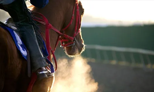 Horse Racing