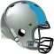 Panthers