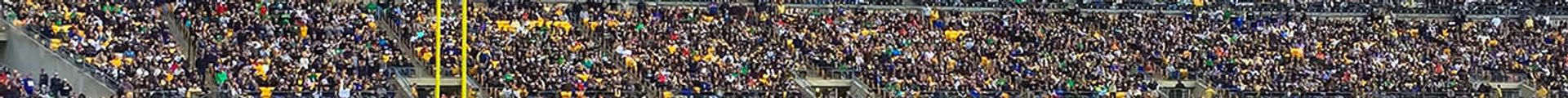 Pittsburgh Panthers vs. Central Michigan Chippewas Tickets