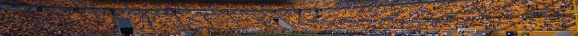 NFL Preseason: Pittsburgh Steelers vs. Tampa Bay Buccaneers Tickets