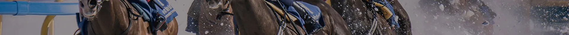 Breeders Cup - Friday Tickets