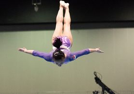 Alabama Crimson Tide Women's Gymnastics