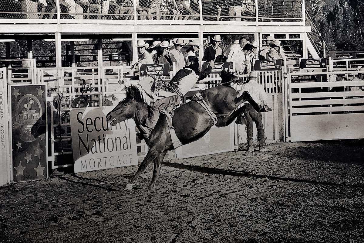 World's Toughest Rodeo