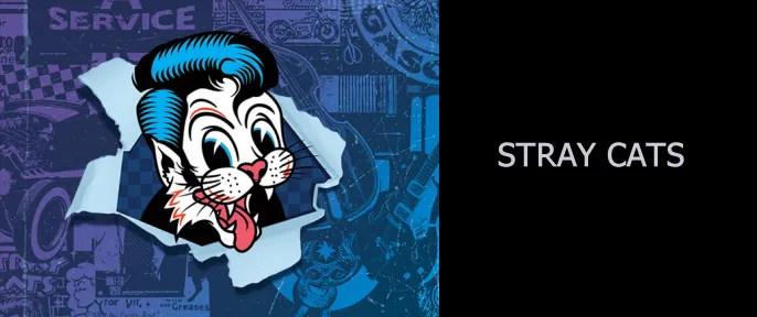 Stray Cats