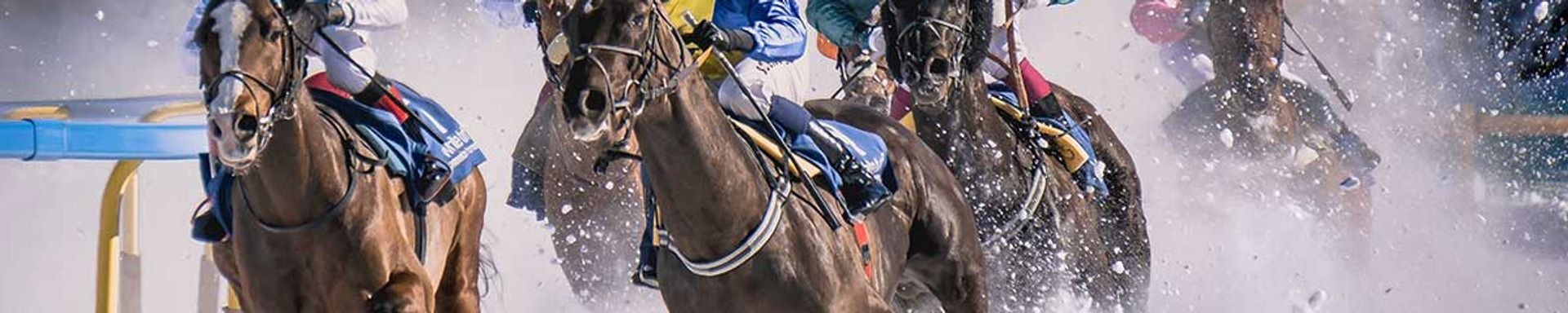 Horse Racing Tickets