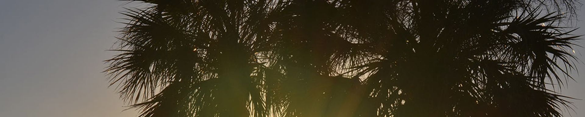 Maryland Cities & Tickets