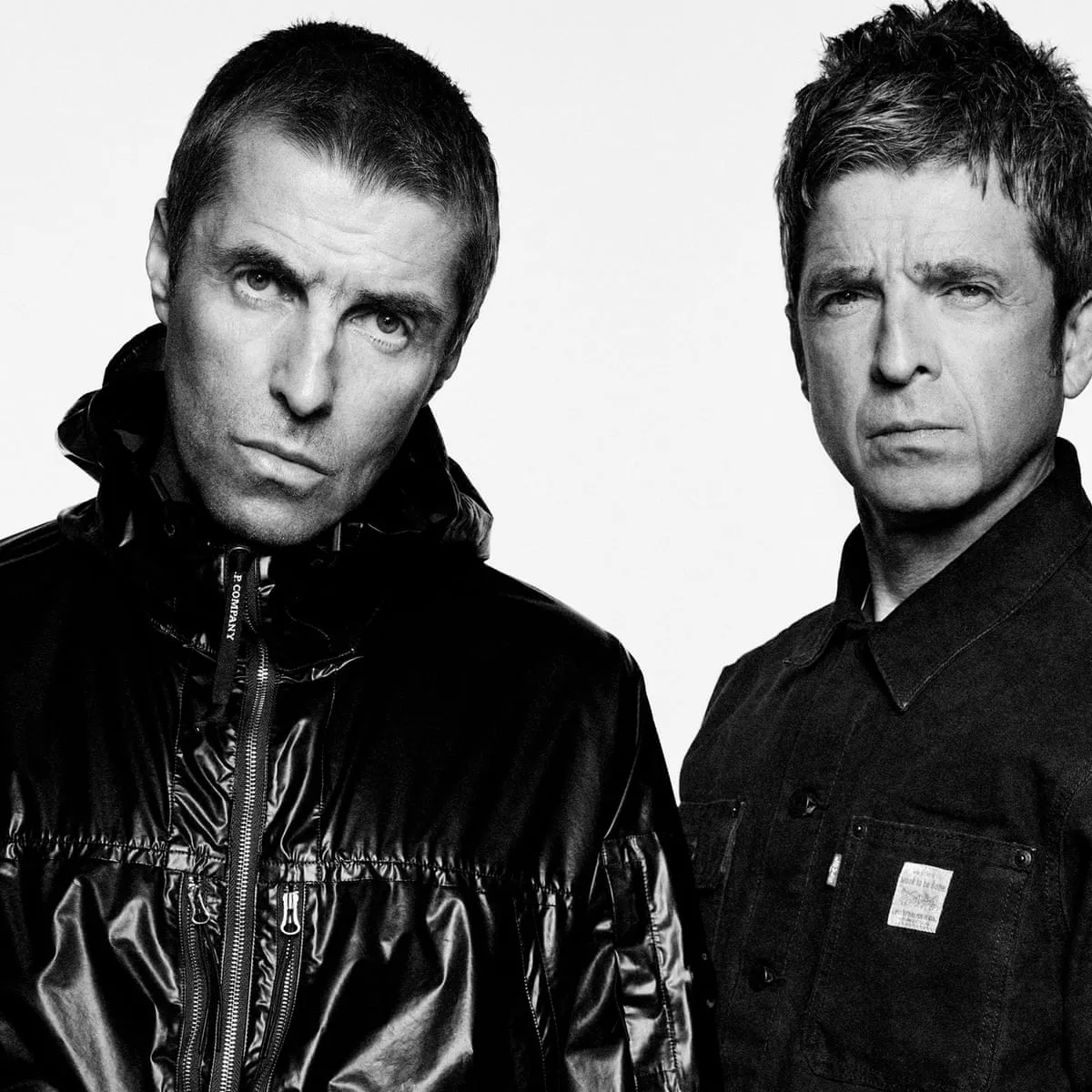 Oasis