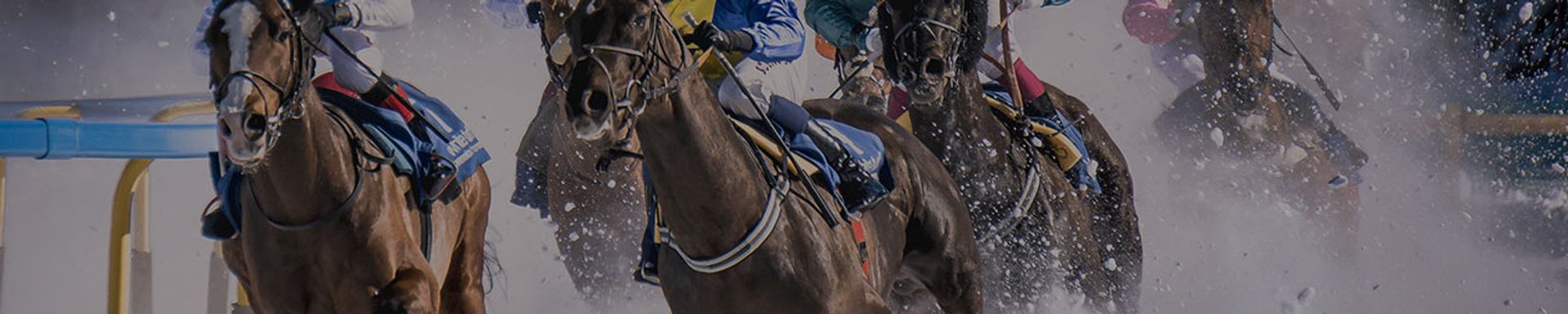 Horse Racing Tickets