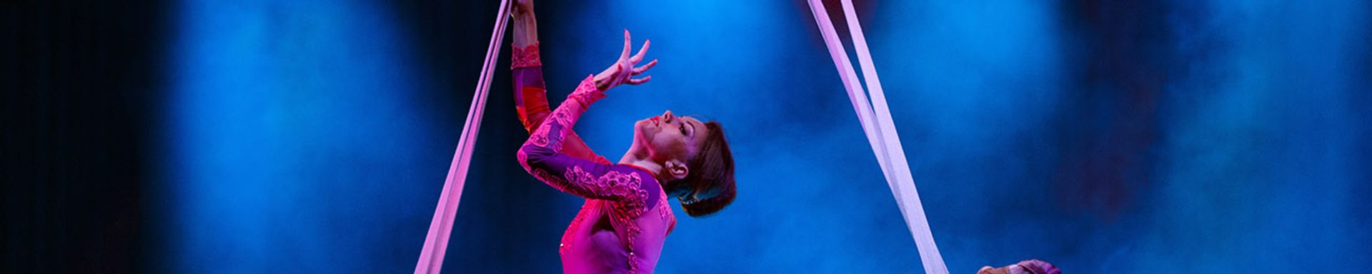 Cirque du Soleil - O Tickets