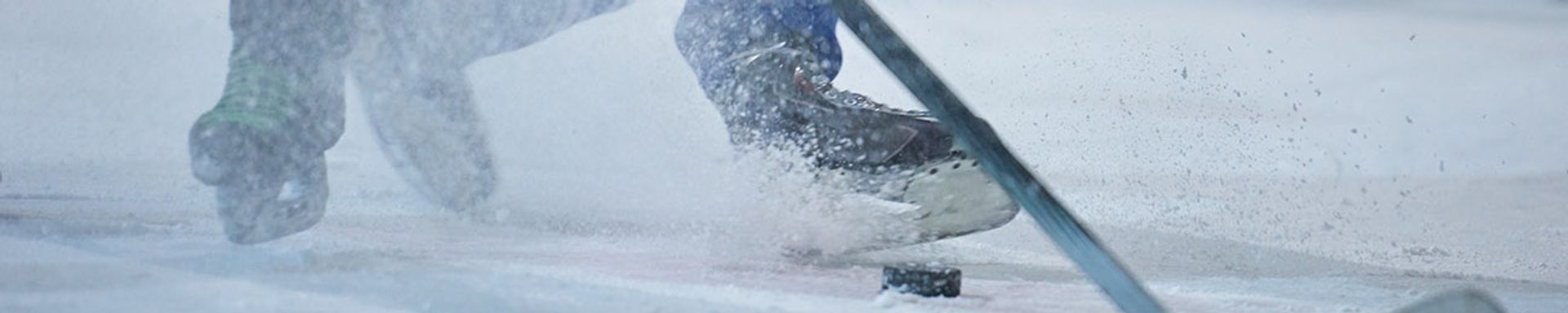 Maine Black Bears Tickets