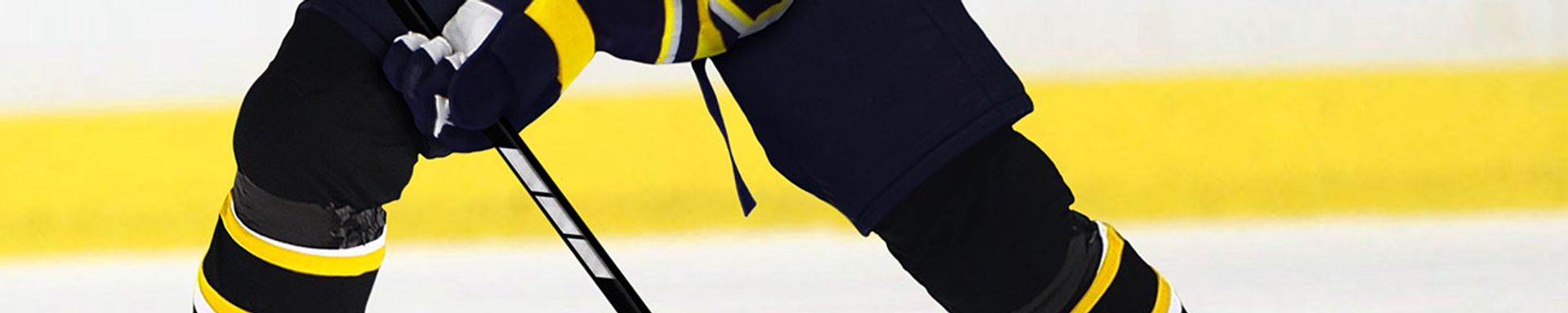 Pensacola Ice Flyers Tickets