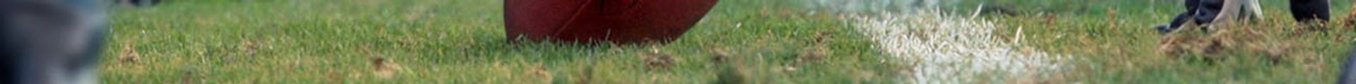 New Orleans Saints vs. New York Giants Tickets