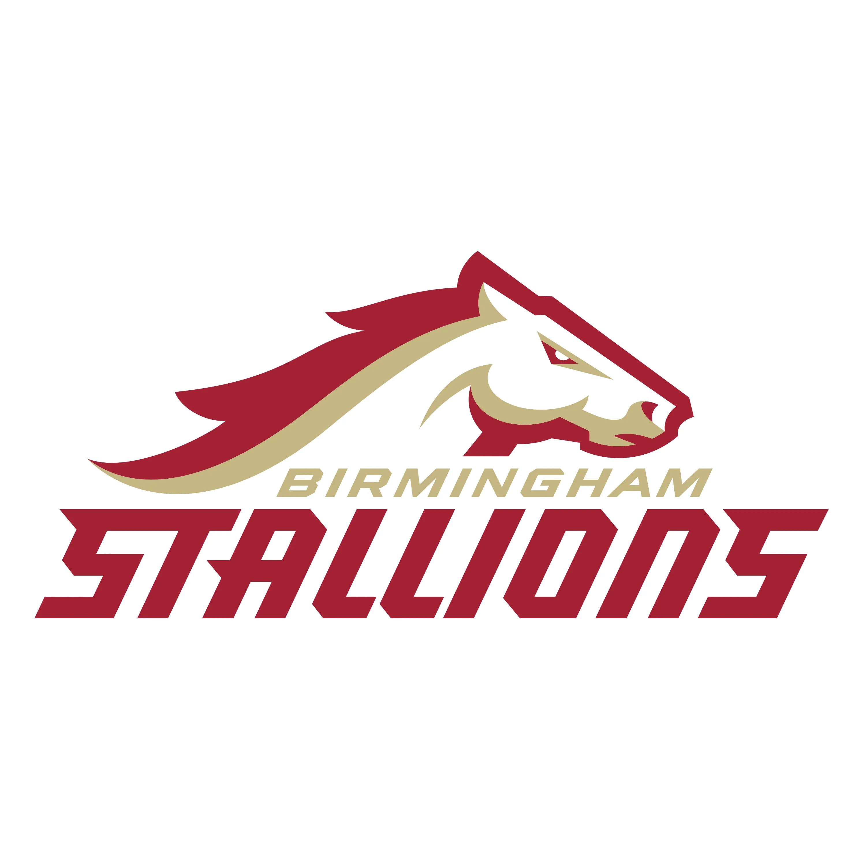 Birmingham Stallions Tickets
