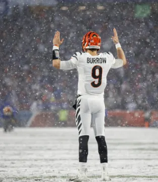 Cincinnati Bengals Tickets