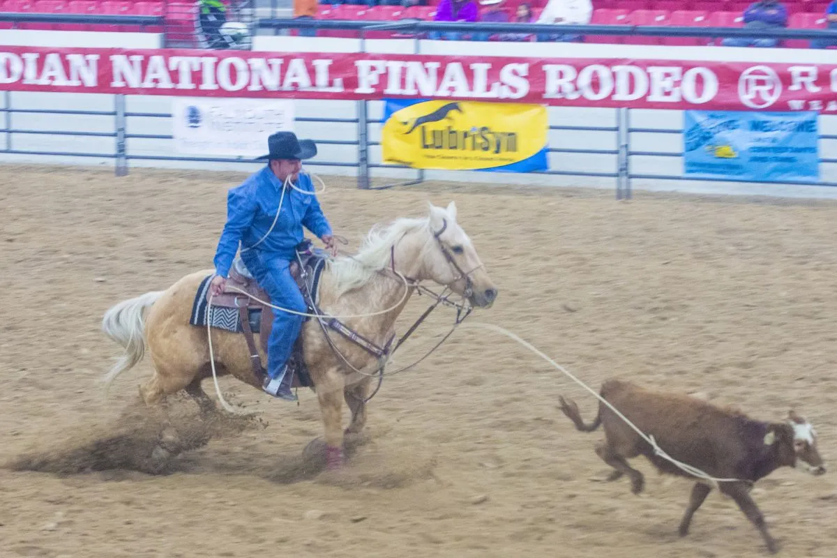 National Finals Rodeo - Session 4 Dec 7, 2025 Thomas & Mack Center
