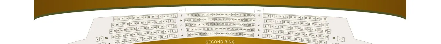 Second Ring seating map at the David H. Koch Theater