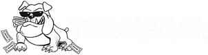 Ticket Bitch